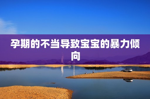 孕期的不当导致宝宝的暴力倾向