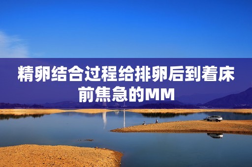 精卵结合过程给排卵后到着床前焦急的MM