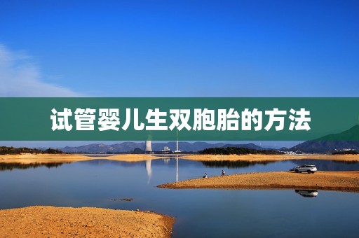 试管婴儿生双胞胎的方法