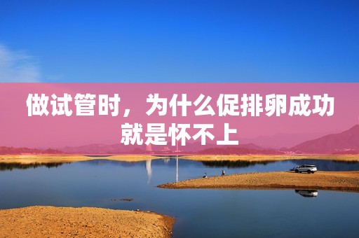 做试管时，为什么促排卵成功就是怀不上