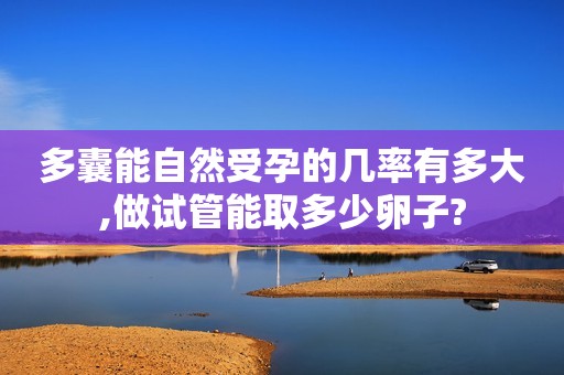 多囊能自然受孕的几率有多大,做试管能取多少卵子?