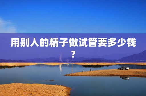 用别人的精子做试管要多少钱?