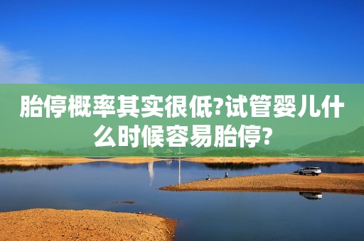 胎停概率其实很低?试管婴儿什么时候容易胎停?
