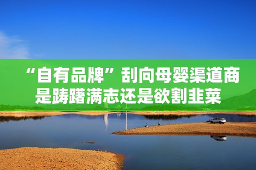 “自有品牌”刮向母婴渠道商 是踌躇满志还是欲割韭菜