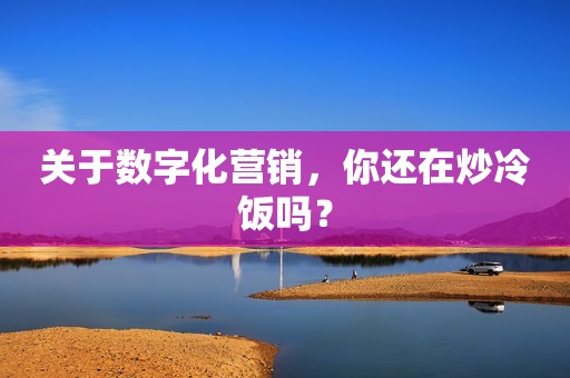 详细阅读:关于数字化营销,你还在炒冷饭吗? 关于数字化营销,你还在炒冷饭吗?