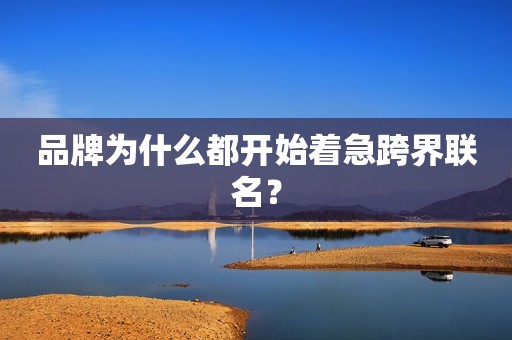 品牌为什么都开始着急跨界联名？