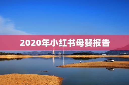 2020年小红书母婴报告