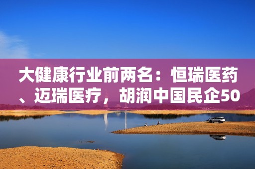 大健康行业前两名：恒瑞医药、迈瑞医疗，胡润中国民企500强发榜
