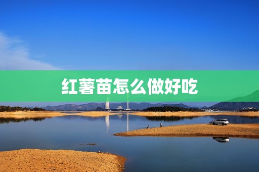 红薯苗怎么做好吃