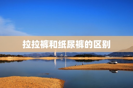 拉拉裤和纸尿裤的区别