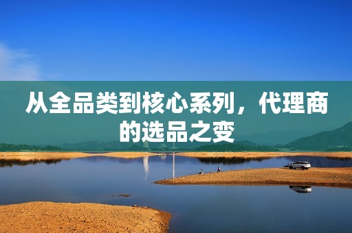 从全品类到核心系列，代理商的选品之变