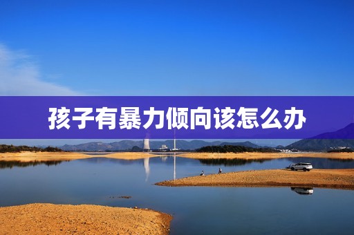 孩子有暴力倾向该怎么办