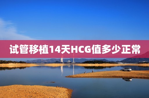 试管移植14天HCG值多少正常