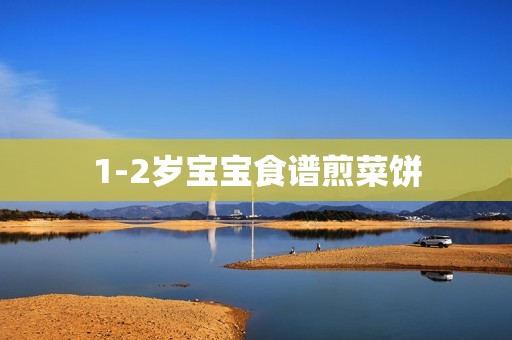 1-2岁宝宝食谱煎菜饼