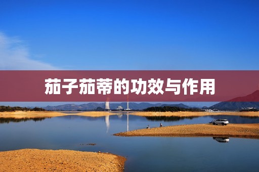 茄子茄蒂的功效与作用