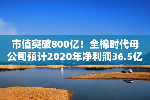 市值突破800亿！全棉时代母公司预计2020年净利润36.5亿-39.5亿元
