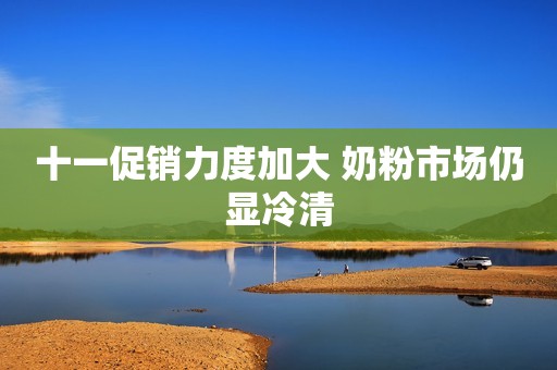 十一促销力度加大 奶粉市场仍显冷清
