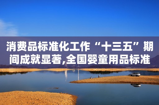 消费品标准化工作“十三五”期间成就显著,全国婴童用品标准化工作组成立
