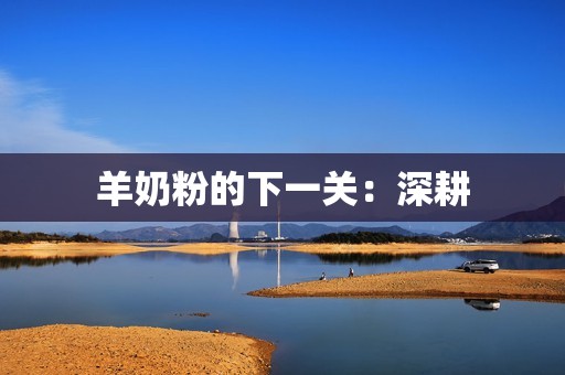羊奶粉的下一关：深耕