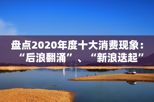 盘点2020年度十大消费现象：“后浪翻涌”、“新浪迭起”