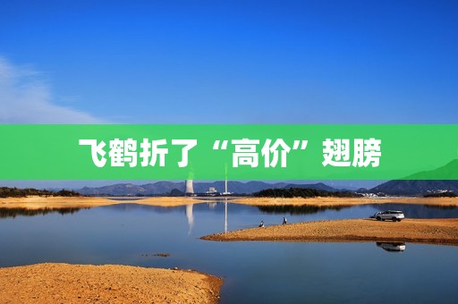 飞鹤折了“高价”翅膀