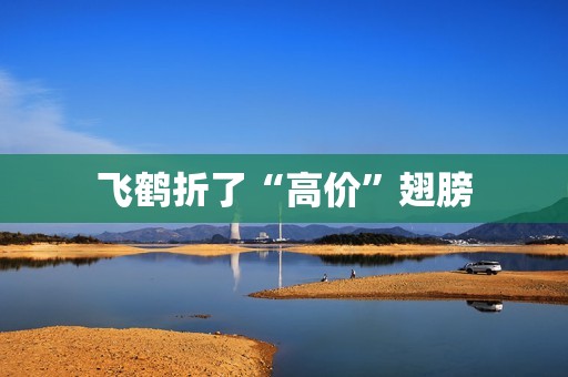 飞鹤折了“高价”翅膀