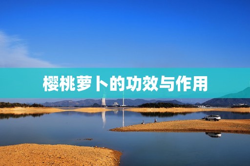 樱桃萝卜的功效与作用