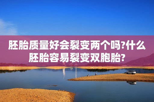 胚胎质量好会裂变两个吗?什么胚胎容易裂变双胞胎?