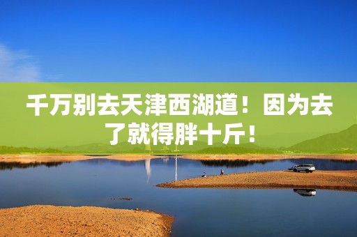 千万别去天津西湖道！因为去了就得胖十斤！