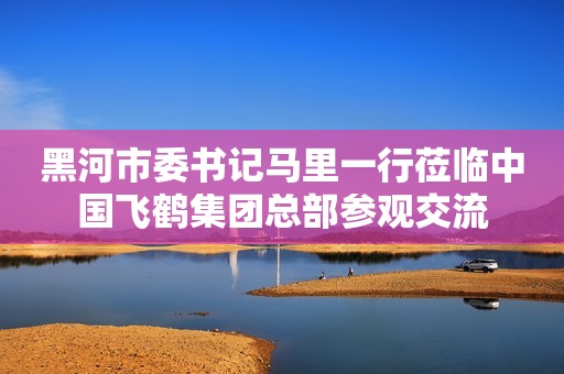 详细阅读:黑河市委书记马里一行莅临中国飞鹤集团总部参观交流 黑河市委书记马里一行莅临中国飞鹤集团总部参观交流