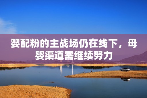婴配粉的主战场仍在线下，母婴渠道需继续努力