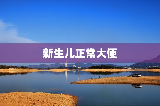 新生儿正常大便