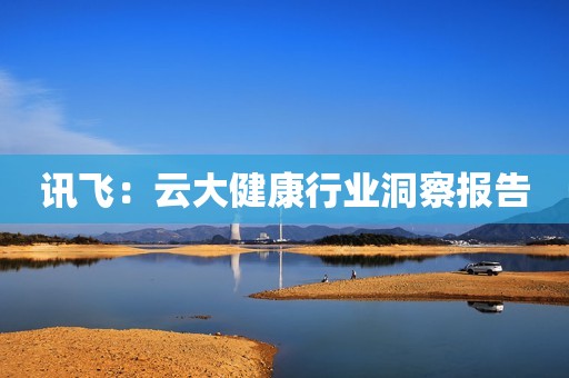 讯飞：云大健康行业洞察报告
