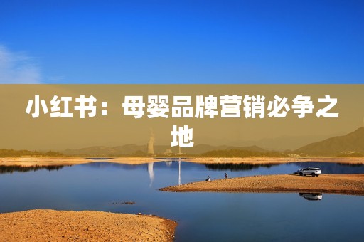 小红书：母婴品牌营销必争之地