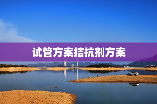 试管方案拮抗剂方案