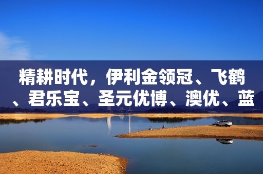 精耕时代，伊利金领冠、飞鹤、君乐宝、圣元优博、澳优、蓝河等各有亮点
