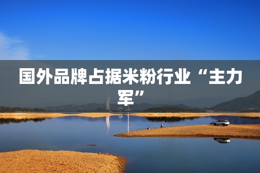 国外品牌占据米粉行业“主力军”