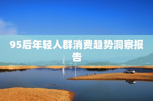 95后年轻人群消费趋势洞察报告