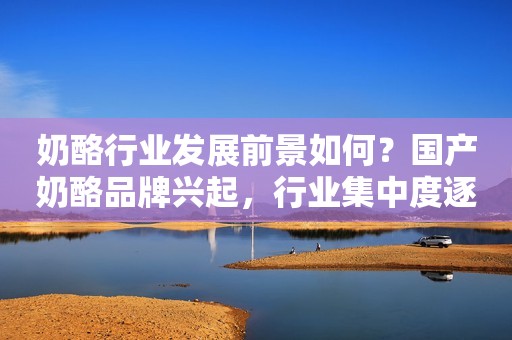 奶酪行业发展前景如何？国产奶酪品牌兴起，行业集中度逐渐提高