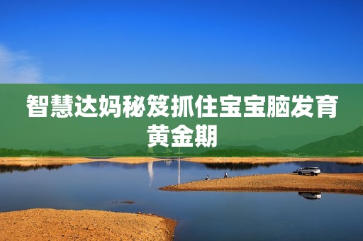 智慧达妈秘笈抓住宝宝脑发育黄金期