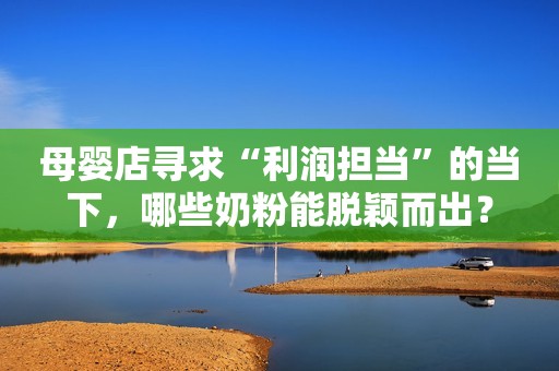 母婴店寻求“利润担当”的当下，哪些奶粉能脱颖而出？