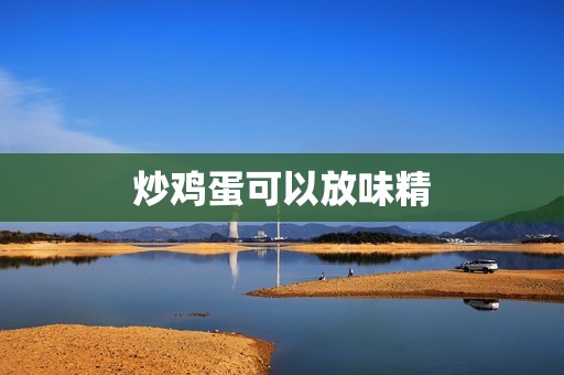 炒鸡蛋可以放味精