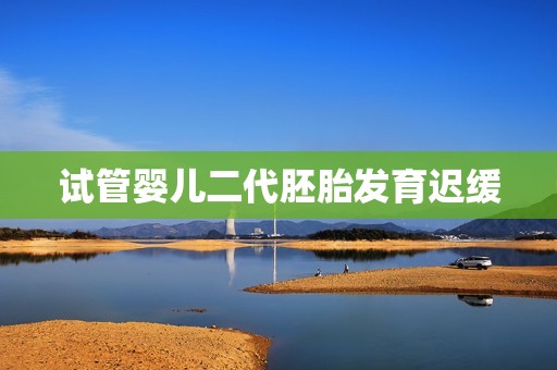 试管婴儿二代胚胎发育迟缓