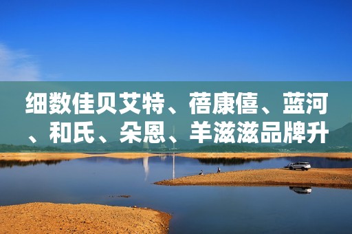 细数佳贝艾特、蓓康僖、蓝河、和氏、朵恩、羊滋滋品牌升级之路