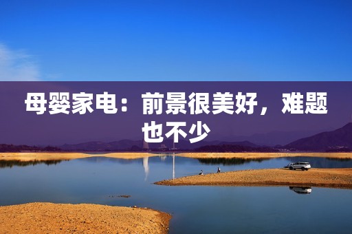 母婴家电：前景很美好，难题也不少
