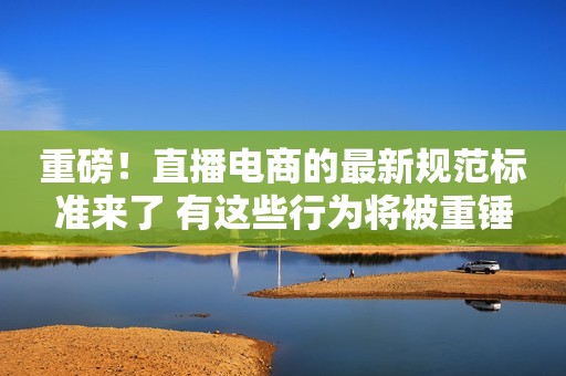 重磅！直播电商的最新规范标准来了 有这些行为将被重锤