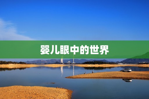 婴儿眼中的世界