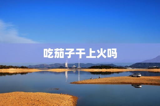 吃茄子干上火吗
