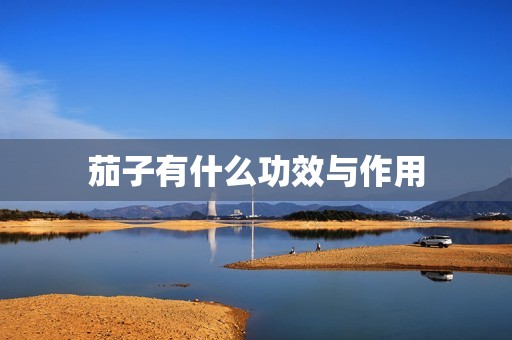 茄子有什么功效与作用
