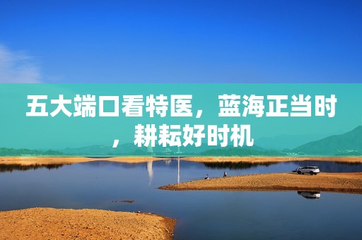 五大端口看特医，蓝海正当时，耕耘好时机